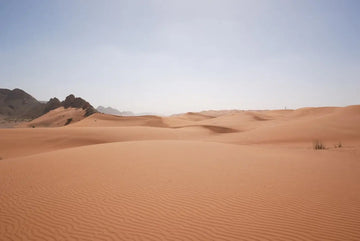 Como evitar e escapar das areias movediças